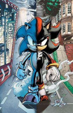 Sonic's Shadow Print- 11x17