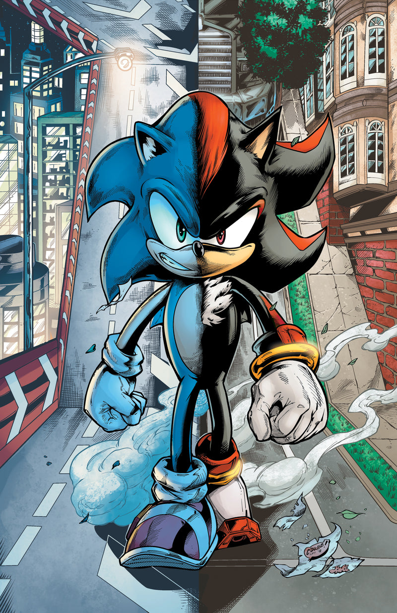 Sonic and Shadow!